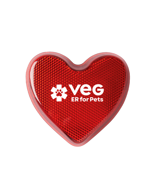 Safety Light provided by Veg ER