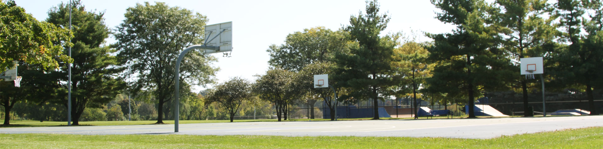 Lisle Community Park