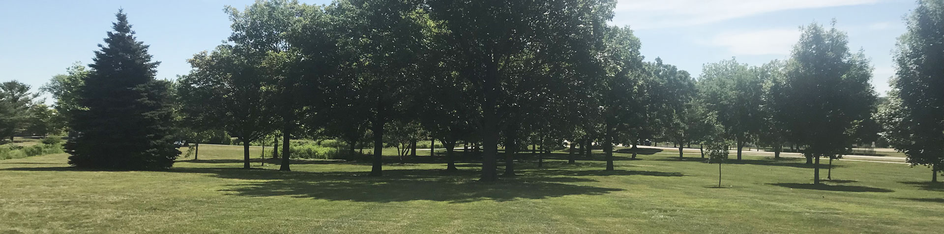 Memorial Tree Grove