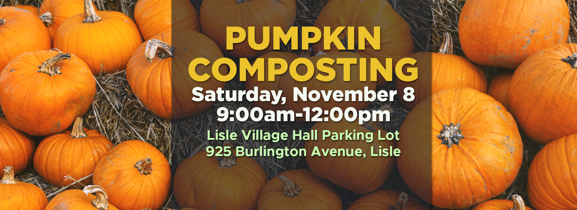 Pumpkin Composting