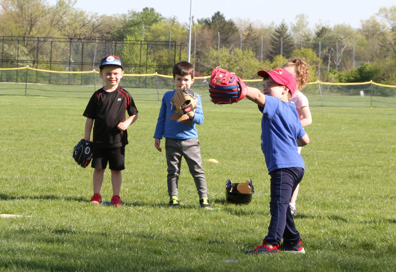 tball league