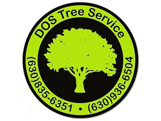 DOS Tree Service